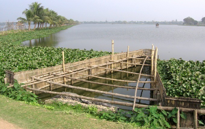 East Kolkata Wetlands—A Ramsar site which maintains the city’s ecological balance 
