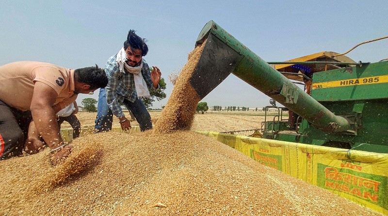 Centre announces relaxations, allows wheat export shipments awaiting Customs clearance 