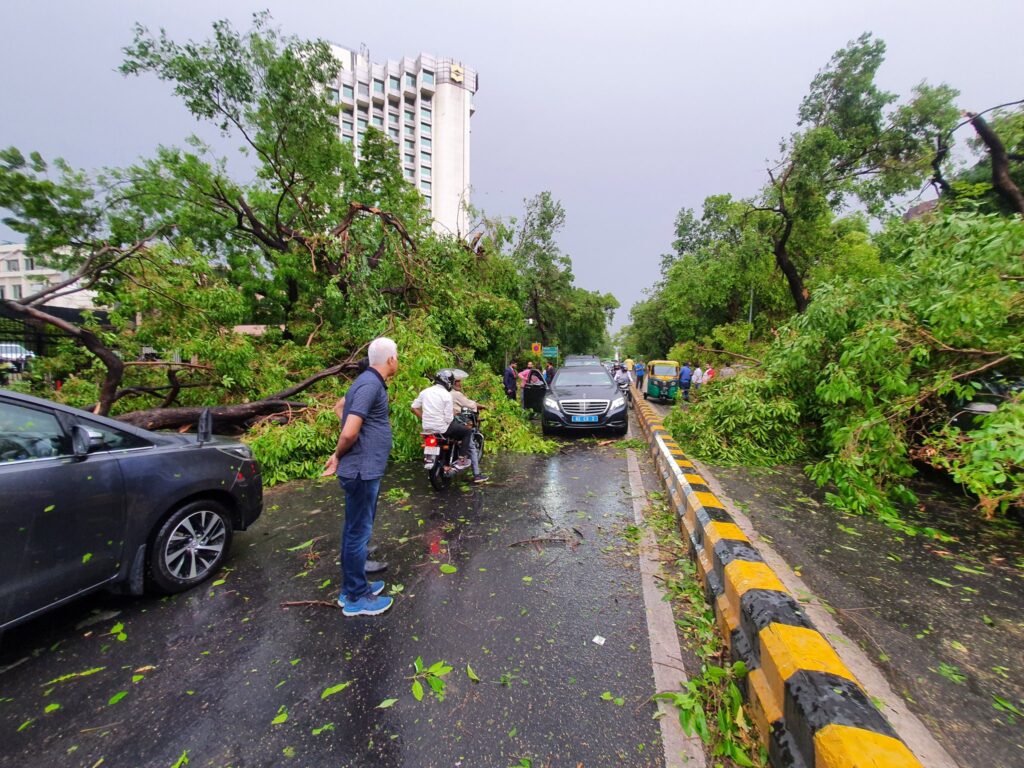 Due to heavy rain on Monday, city had witnessed falling of hundreds of trees in various parts.