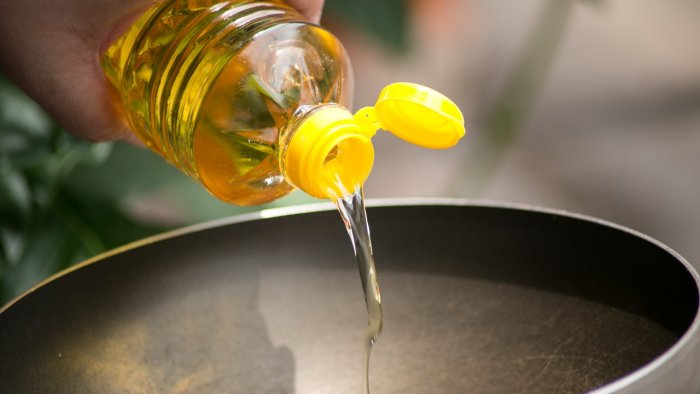 edible oil, edible oil price, edible oil meaning, edible oil prices, edible oil news, why edible oil prices are rising in india, edible oil prices slashed in india, breaking news, india news,