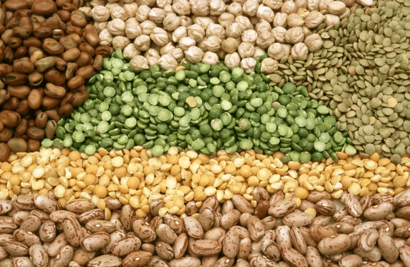 304 varieties of high-yielding varieties of pulses notified for commercial use in last 8 years: Minister tells Lok Sabha
