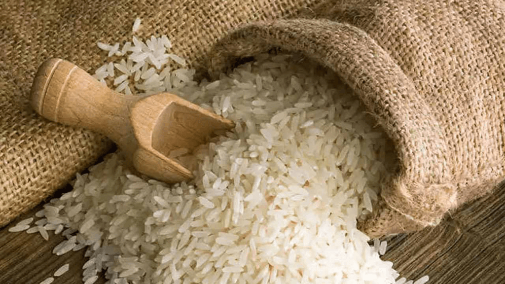 Use of fortified rice beneficial for health, helps in fighting anaemia, malnutrition: Experts
