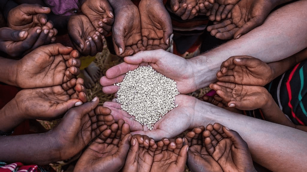 India calls global hunger report erroneous, terms it as ‘attempt to taint image’ The Theorist
