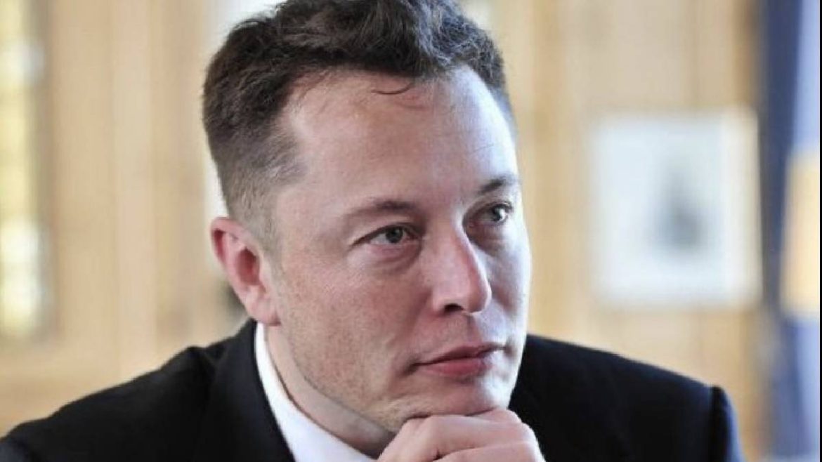Musk hiring skills, Musk on hiring, X CEO, Tesla, Space X, US, USA, AI, Technology, Work Ability, Software Engineer,