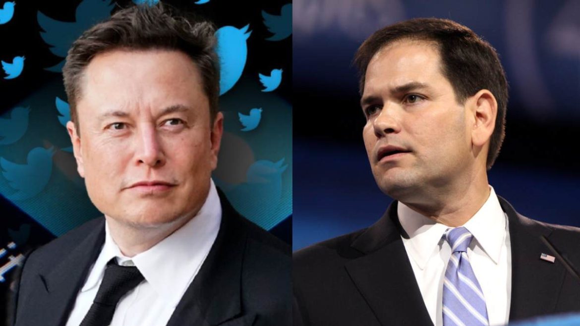 elon musk, marco rubio, doge, donald trump,