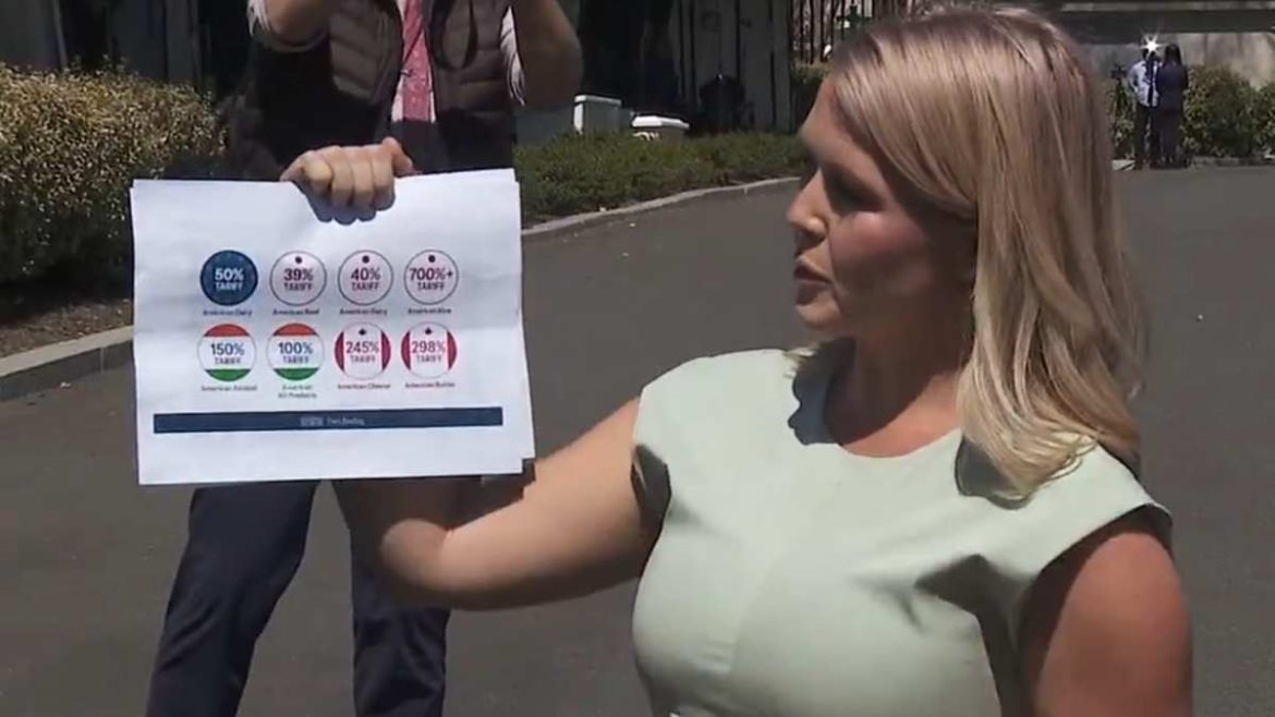 karoline leavitt, White House Press Secretary, us trade war, tariffs,