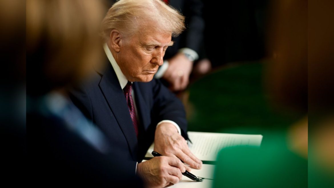 donald trump, harvard university, alan garber,
