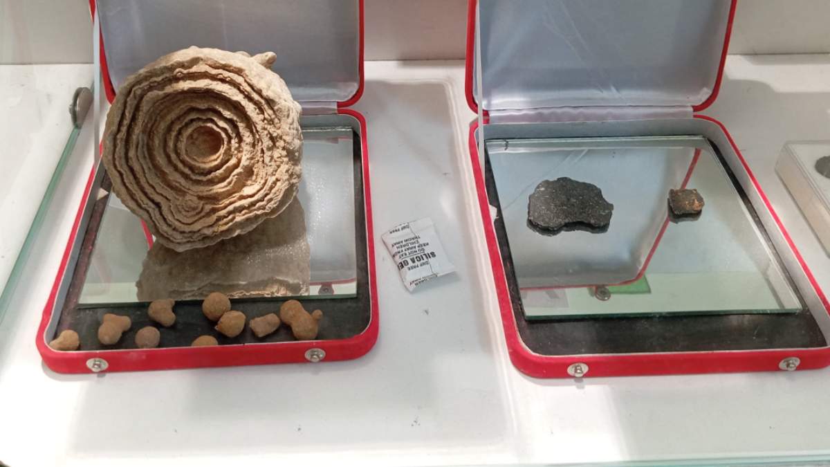 Kolkata space museum, Museum of Astronomy and Space Science, Indian Centre for Space Physics, moon dust in India,