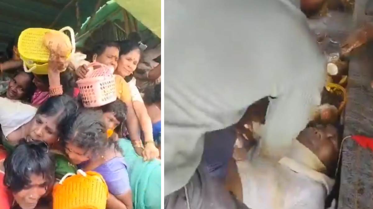 Venkateswara Swamy temple stampede, andhra pradesh, stampede,